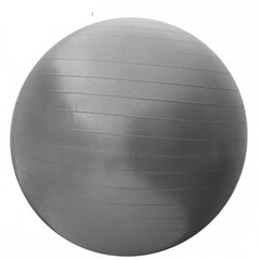Мяч для упражнений фитнеса и реабилитации с насосом SportVida, 65 см, серый цена и информация | Гимнастические мячи | 220.lv