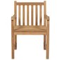 Dārza krēsli ar sarkanvīna spilveniem, 6 gab. cena un informācija | Dārza krēsli | 220.lv