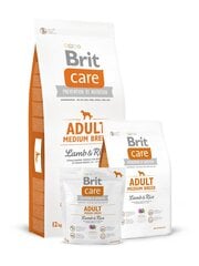 Сухой корм Brit Care Adult Medium Breed Lamb & Rice для собак средних пород, 3 kg цена и информация | Сухой корм для собак | 220.lv