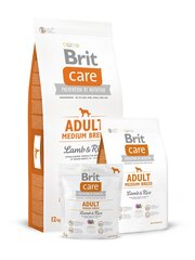 Brit Care Adult Medium Lamb&Rice 12kg Suņiem cena un informācija | Sausā barība suņiem | 220.lv