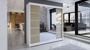 Шкаф с раздвижными дверями Talin V цена и информация | Шкафы | 220.lv