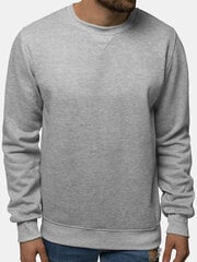 Vīriešu džemperis "Fonsi", gaiši pelēks cena un informācija | Vīriešu džemperi | 220.lv
