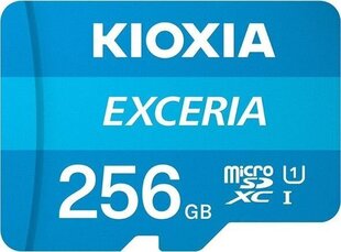 Kioxia LMEX1L256GG2 цена и информация | Карты памяти для фотоаппаратов | 220.lv