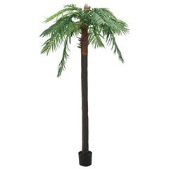 Mākslīgā palma ar podiņu, 305 cm cena un informācija | Mākslīgie ziedi | 220.lv