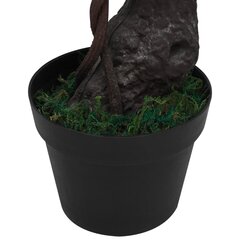 Mākslīgais bonsai ar podiņu, 75 cm cena un informācija | Mākslīgie ziedi | 220.lv