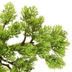 Mākslīgais bonsai ar podiņu, 60 cm cena un informācija | Mākslīgie ziedi | 220.lv