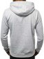 Vīriešu džemperis ar kapuci "Buvoli", gaiši pelēks cena un informācija | Vīriešu jakas | 220.lv