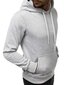 Vīriešu džemperis ar kapuci "Buvoli", gaiši pelēks цена и информация | Vīriešu jakas | 220.lv