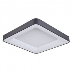 Italux lampa Giacinto 5304-850SQC-BK-3 cena un informācija | Lustras | 220.lv