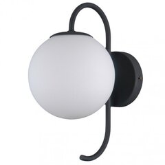 Italux lampa Gela PND-5500-6-HBR kaina ir informacija | Sienas lampas | 220.lv