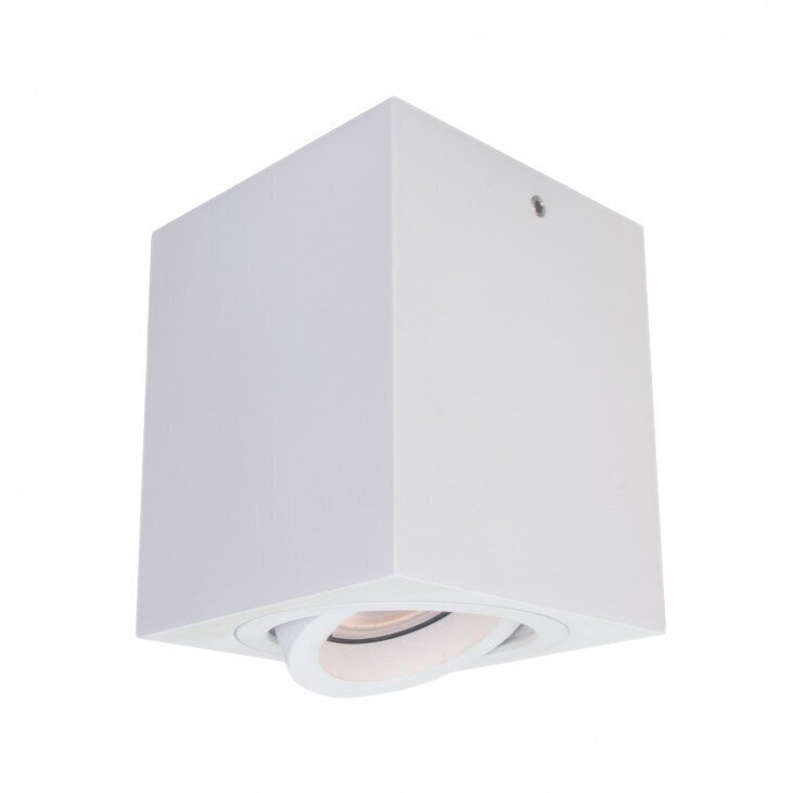 Italux lampa Emilio IT8004S1-WH цена и информация | Lustras | 220.lv