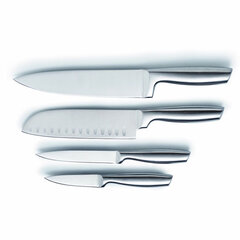 Набор ножей Masterpro Нержавеющая сталь (4 pcs) цена и информация | Столовые приборы | 220.lv