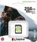 Kingston SDS2/256GB цена и информация | Atmiņas kartes fotokamerām | 220.lv