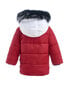 Ziemas virsjaka zēniem Gulliver, sarkana цена и информация | Ziemas apģērbs bērniem | 220.lv
