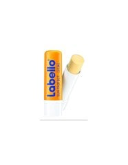 Lūpu balzams Labello SPF 30 Sun Protect 4,8 g цена и информация | Помады, бальзамы, блеск для губ | 220.lv