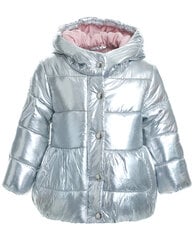 Куртка с серебристым напылением для девочек Gulliver цена и информация | Зимняя одежда для детей | 220.lv