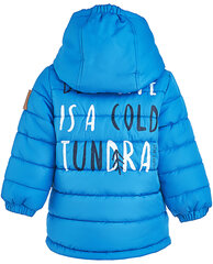 Голубая осенняя куртка для мальчиков Gulliver цена и информация | Зимняя одежда для детей | 220.lv
