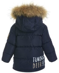 Синяя зимняя куртка для мальчиков Gulliver цена и информация | Зимняя одежда для детей | 220.lv