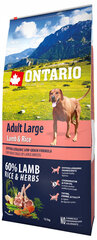 Корм для собак - Ontario Adult Large Lamb & Rice, 12 кг цена и информация |  Сухой корм для собак | 220.lv