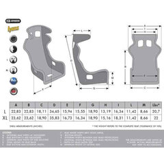 Sēdeklis Momo DAYTONA EVO FIA 8855-1999 Melns cena un informācija | Auto piederumi | 220.lv