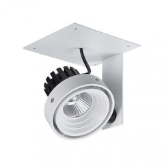 Italux подвесной светильник Patrizio Single цена и информация | Настенный/подвесной светильник Eye Spot 11 BL, чёрный | 220.lv
