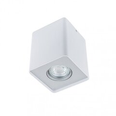 Italux Harris FH31431S-WH цена и информация | Настенный/подвесной светильник Eye Spot 11 BL, чёрный | 220.lv