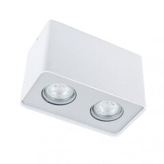 Italux Harris FH31432S-WH цена и информация | Настенный/подвесной светильник Eye Spot 11 BL, чёрный | 220.lv