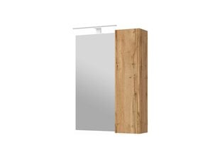 Зеркальный шкафчик Bronx 65, дуб цена и информация | Шкафчики для ванной | 220.lv