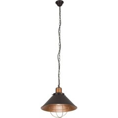 Nowodvorski Lighting подвесной светильник Garret 6443 цена и информация | Настенный/подвесной светильник Eye Spot 11 BL, чёрный | 220.lv