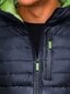 Vīriešu pārejas jaka Ombre C319 tumši zila/zaļa цена и информация | Vīriešu virsjakas | 220.lv