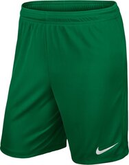 Шорты Nike Park II Knit цена и информация | Футбольная форма и другие товары | 220.lv