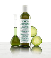Sejas toniks Kiehls Cucumber Herbal Alcohol Free 500 ml cena un informācija | Sejas ādas kopšana | 220.lv