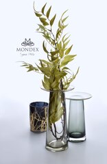 Serenite ваза 25 см цена и информация | Вазы | 220.lv