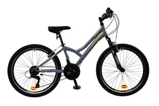 Bērnu velosipēds N1 MTB 1.0 24", pelēks cena un informācija | Velosipēdi | 220.lv
