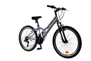 Bērnu velosipēds N1 MTB 1.0 24", pelēks цена и информация | Велосипеды | 220.lv