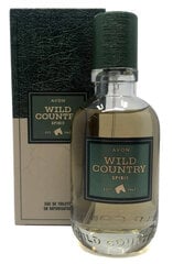 Avon Туалетная вода Wild Country Spirit for Him EDT 75 мл цена и информация | Мужские духи | 220.lv