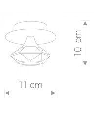 Nowodvorski Lighting griestu gaismeklis 4651 cena un informācija | Griestu lampas | 220.lv