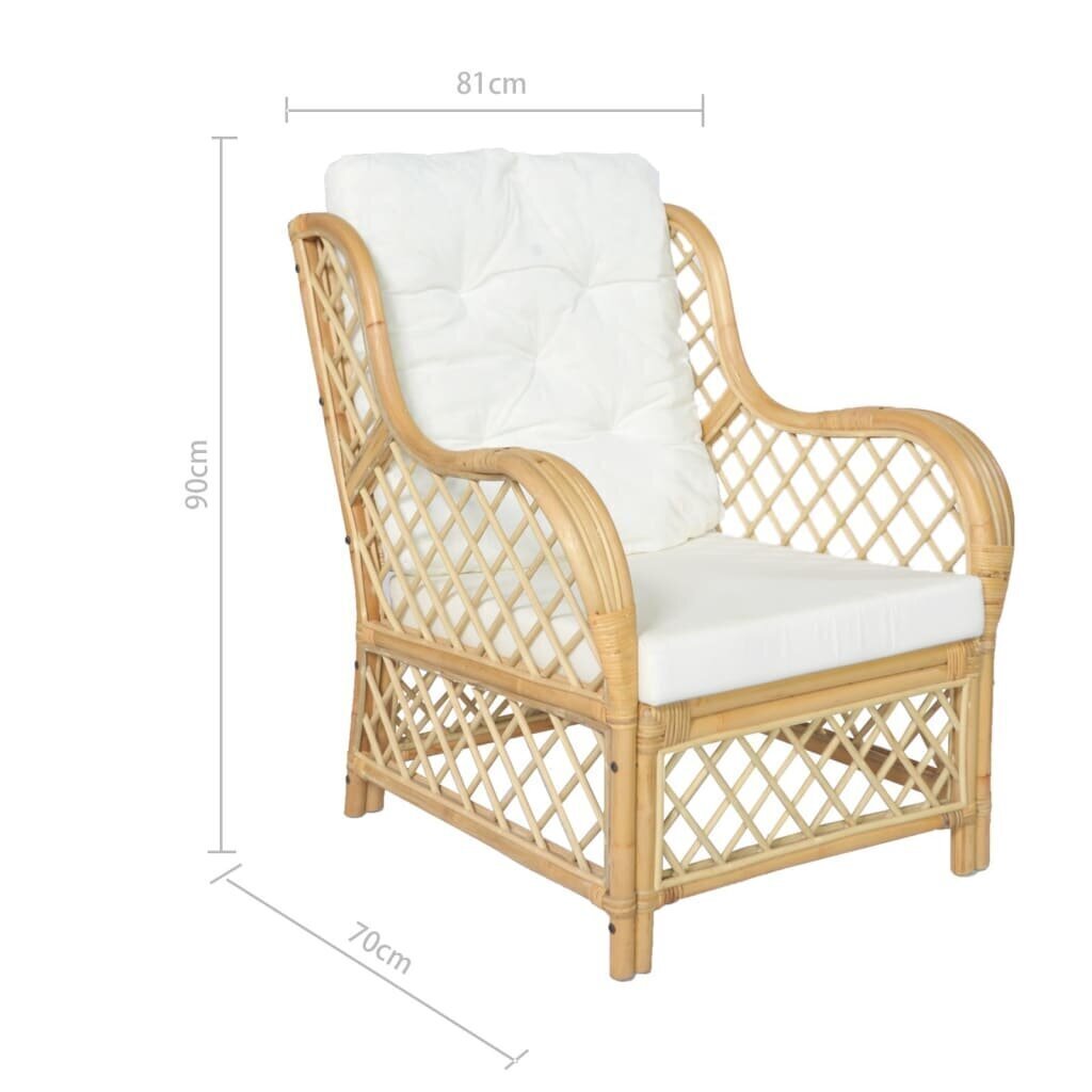 Krēsls ar spilveniem, brūns cena un informācija | Dārza krēsli | 220.lv
