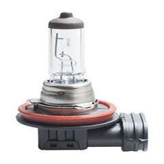 Галогенная лампа M-Tech Z64 H16 5202 12V 19W PGJ19-3 цена и информация | Автомобильные лампочки | 220.lv