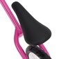Līdzsvara velosipēds, rozā krāsā, 10 collu riteņi cena un informācija | Balansa velosipēdi | 220.lv