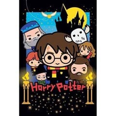 3D Puzle Wig Harry Potter (300 pcs) цена и информация | Пазлы | 220.lv