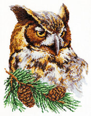 Izšūšanas komplekts Magic Needle "Owl" 64-03 cena un informācija | Izšūšanas piederumi | 220.lv