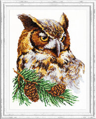 Izšūšanas komplekts Magic Needle "Owl" 64-03 cena un informācija | Izšūšanas piederumi | 220.lv