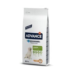 ADVANCE DOG MAXI JUNIOR 14,0 kg - Lielo šķirņu suņu pusaudžiem (Vista un Rīsi) цена и информация | Сухой корм для собак | 220.lv