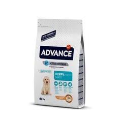 ADVANCE DOG MAXI PUPPY 3,0 kg - Lielo šķirņu kucēniem (Vista un Rīsi) cena un informācija | Sausā barība suņiem | 220.lv