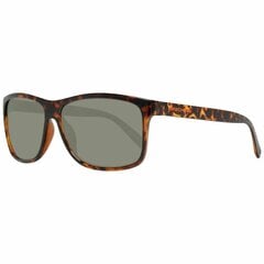 Мужские солнечные очки Skechers SE6015-5952N Коричневый Зеленый (ø 59 mm) S0358811 цена и информация | Солнцезащитные очки для мужчин | 220.lv
