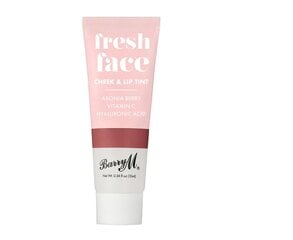 Multi-make-up sejai un lūpām Fresh Face Cheek & Lip Tint 10 ml, Deep Rose cena un informācija | Barry M Smaržas, kosmētika | 220.lv