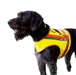 Жилет для собак со светоотражающими элементами цена и информация | Одежда для собак | 220.lv