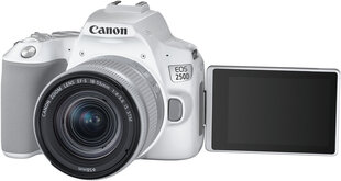 Canon EOS 250D цена и информация | Цифровые фотоаппараты | 220.lv