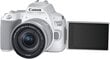 Canon EOS 250D цена и информация | Digitālās fotokameras | 220.lv